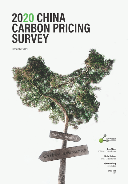 2020 China Carbon Pricing Survey